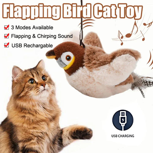 Jouet oiseau chat catnip modes sons