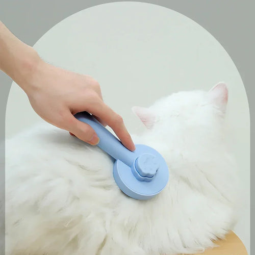 Brosse Autonettoyante 1 Clic — Chien & Chat